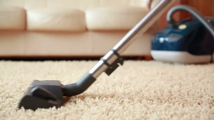 carpet cleaner