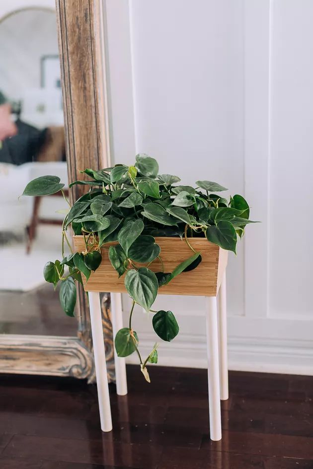 Bamboo IKEA Planter