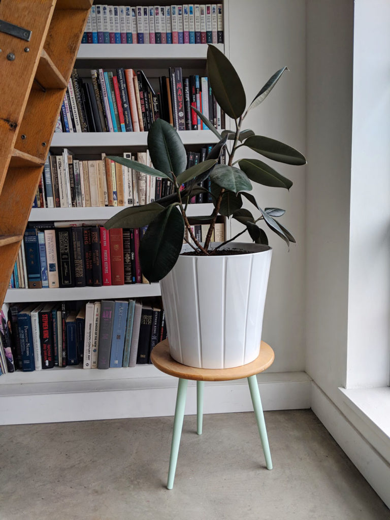 Mid-Century IKEA Plant Stand