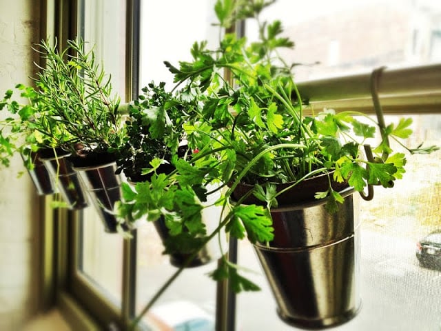 window herb garden