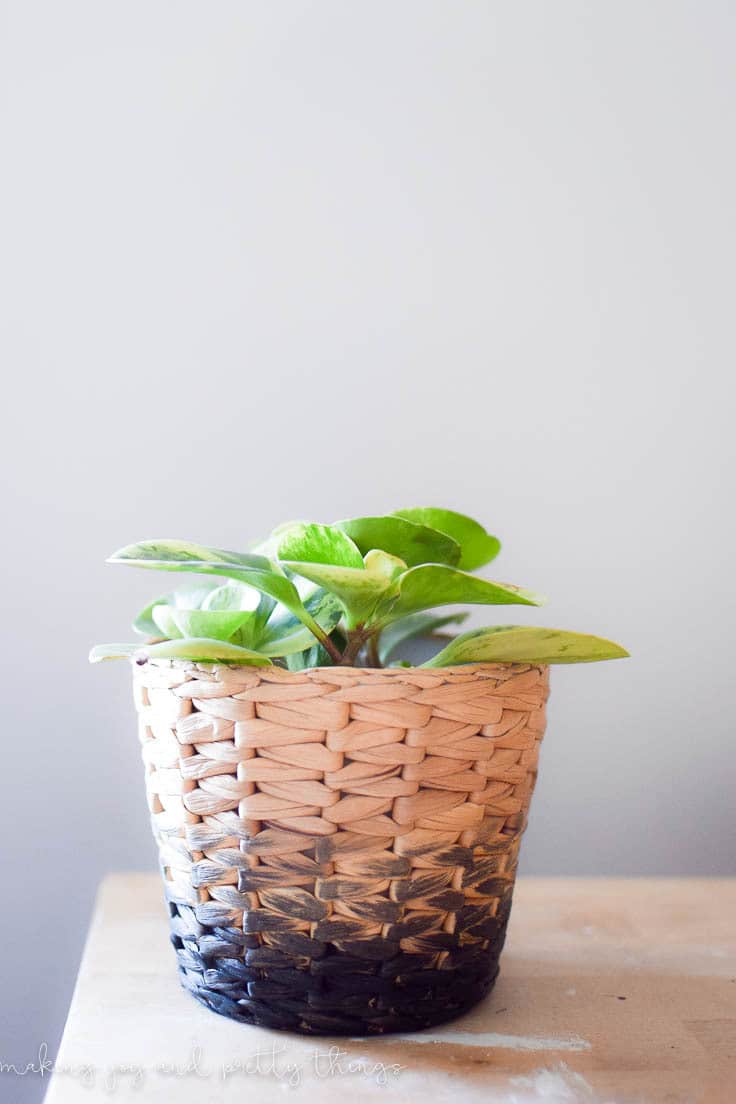 DIY Ombre planter