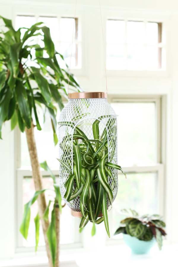 IKEA Hack for Plant lovers, turn a basic IKEA Lantern into a hanging planter