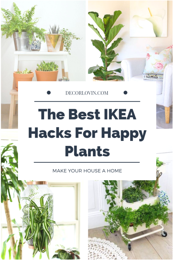 The Best IKEA Hacks for Happy Plants