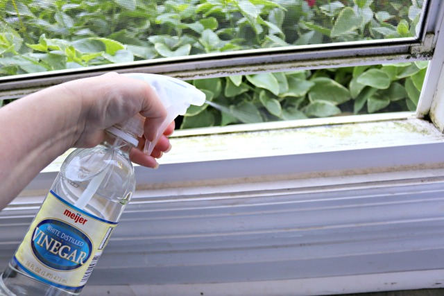 How to Clean Dirty Window Tracks